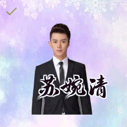 苏婉清